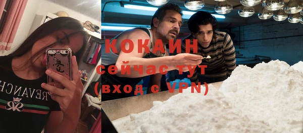 крисы Белоозёрский