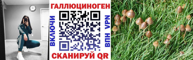 Галлюциногенные грибы ЛСД  где продают   Верхняя Тура 